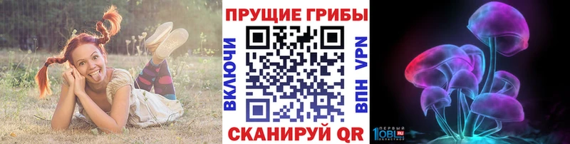 Купить закладки  Карталы  Галлюциногенные грибы прущие грибы 